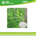 Health care natural stevia extract